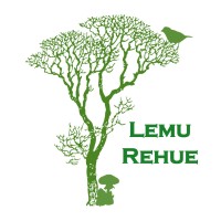 Lemu Rehue: Pensar como un Bosque logo - Similar company to Planinfor