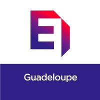 UDE MEDEF Guadeloupe logo - Similar company to Nirafon Oy