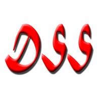 DSS Online logo - Similar company to Do Safety