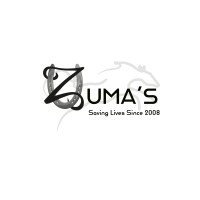ZUMAS logo - Similar company to Arula Consulting