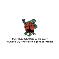 Turtle Island Law LLP logo - Similar company to Split Rock Healing House: Tsë Lhts’Ënc’Il Nec’Igekh Be Yikh
