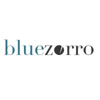 Bluezorro logo - Similar company to Netpace Inc