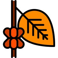 The Roast Collective logo - Similar company to Blue Line Training