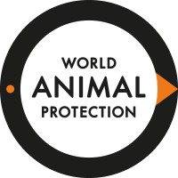 World Animal Protection Sverige logo - Similar company to Djurens Rätt