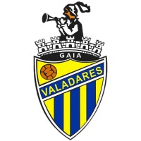 Valadares Gaia Futebol Clube logo - Similar company to Sport Comércio E Salgueiros