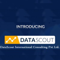DataScout International Consulting Pvt.Ltd. logo - Similar company to Mineman Management Systems Private Limited