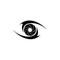 What My Eyes Have Seen logo - Similar company to Thirsty Bear Media