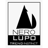 NERO LUPO SA DE CV logo - Similar company to Mas Aprisa