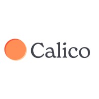 Calico logo - Similar company to Vivid Interface Ltd