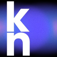KN Consulting & Strategy logo - Similar company to Scout Consulting