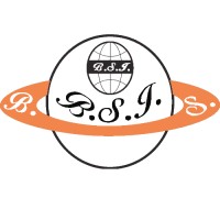 B.S. INTERNATIONAL logo - Similar company to Codizio