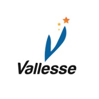 VALLESSE logo - Similar company to Concept360°