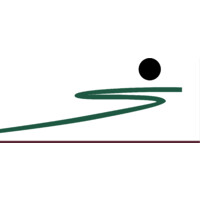 DESPORSANO - CLÍNICA DO DESPORTO logo - Similar company to Saúde Sul