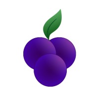 Berry Education logo - Similar company to My People Strategy