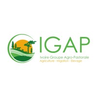 IGAP - IVOIRE GROUPE AGRO-PASTORALE logo - Similar company to Ngr Agro Chap