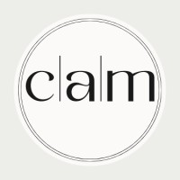 Cinch Affiliate Marketing logo - Similar company to Online Affiliate Marketer