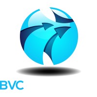 BVC Solutions logo - Similar company to Skillibrium