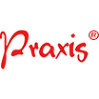 The Praxis Company logo - Similar company to Cekaja.Com