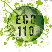 ECO 110 srls logo - Similar company to Mc.Consulenza
