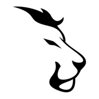 Lionz athletics logo - Similar company to Bounya