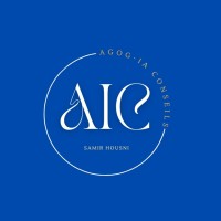 AGOG IA CONSEILS logo - Similar company to Cap Associes