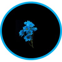 Everything In Its Place By Noelle logo - Similar company to Bswarms