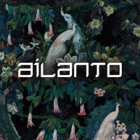 Ailanto logo - Similar company to Nero Mate