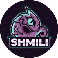 Shmili Langs logo - Similar company to Seeclickfix