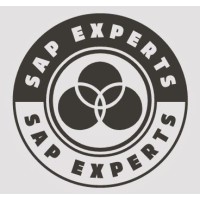 SAP Experts logo - Similar company to Adapt It Sap