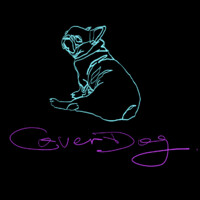 CoverDog Production Limited