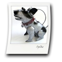 Spike IT logo - Similar company to Netcom Systems Ltd