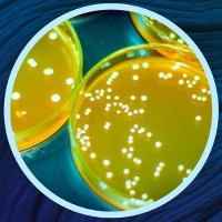 Biology OA logo - Similar company to Kyroos Ai