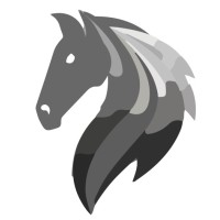 Horse - Forthman Technologies logo - Similar company to Infotnt