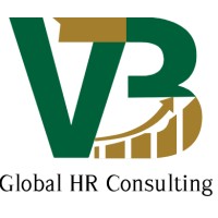 VB Global HR Consulting logo - Similar company to Aneto Software