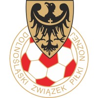 Dolnośląski Związek Piłki Nożnej logo - Similar company to Afc Leyton