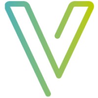 Vissonar logo - Similar company to Bionic Ape