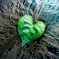 Sagewood Technology Group logo - Similar company to Faith Concierge