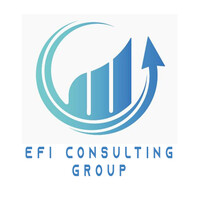 Efi Consulting Group logo - Similar company to Rootman