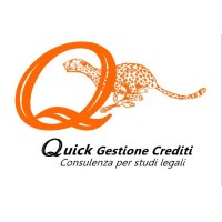 QUICK GESTIONE CREDITI logo - Similar company to Ferrettiedilgroup