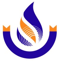 Petrowireless LLC. logo - Similar company to Petrowire