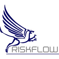 RISKFLOW LTD (IRE) logo - Similar company to Dbs