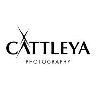 cattleyastudio logo - Similar company to Arkata Studio