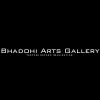 Bhadohi Arts Gallery logo - Similar company to Bhadohi Art Gallery