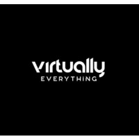 Virtually Everything logo - Similar company to Instaraise