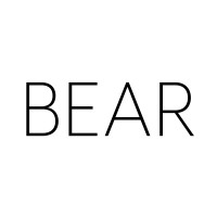 BEAR Architects logo - Similar company to Adic Sl