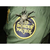 HonorFirst.com logo - Similar company to Border Patrol Foundation