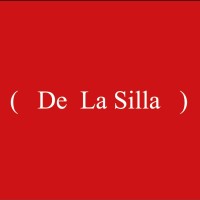 De La Silla logo - Similar company to Cygn Creative Youth Gaming Network