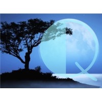 Quantisle logo - Similar company to Jamatto