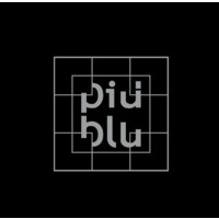 Più Blu Solutions logo - Similar company to Galassia S.R.L.