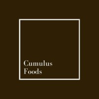 Cumulus Foods LLP logo - Similar company to Icdcn
